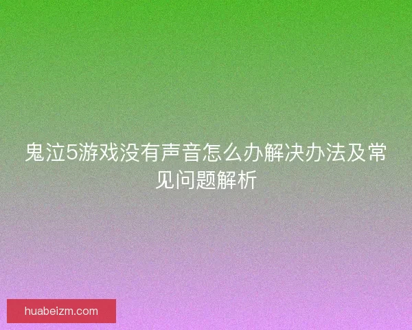 鬼泣5游戏没有声音怎么办解决办法及常见问题解析