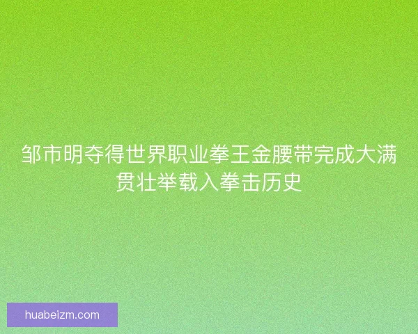 邹市明夺得世界职业拳王金腰带完成大满贯壮举载入拳击历史